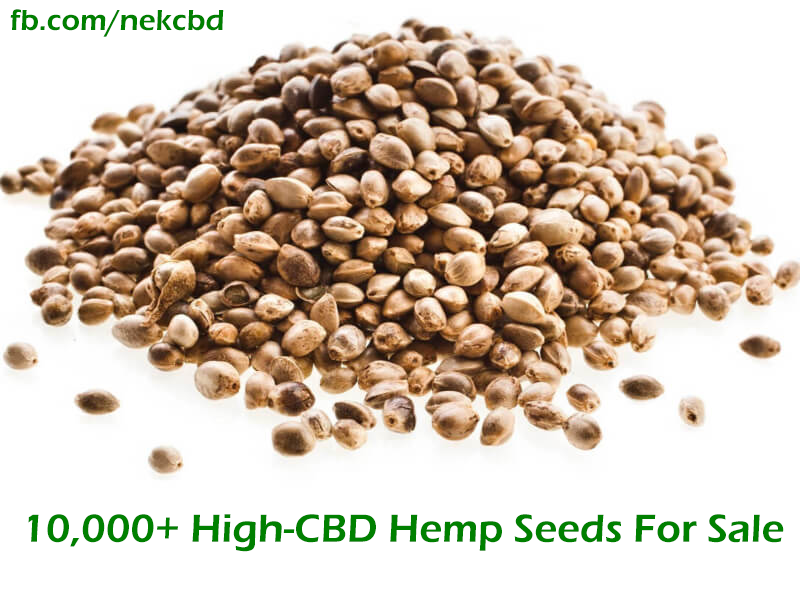NEK CBD | 95 Main St, Newport, VT 05855, USA | Phone: (802) 766-1223