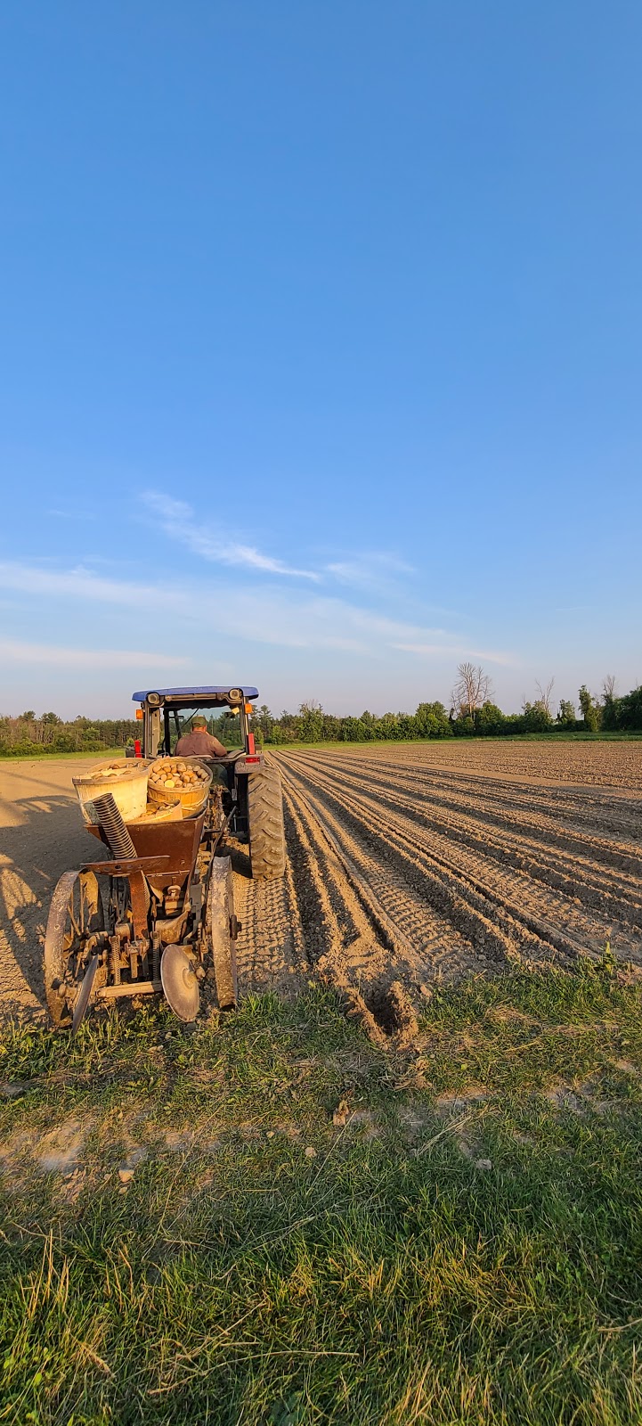 Lytles Organic Vegetables | 5135 Upper Dwyer Hill Rd, Arnprior, ON K7S 3G7, Canada | Phone: (613) 790-0037