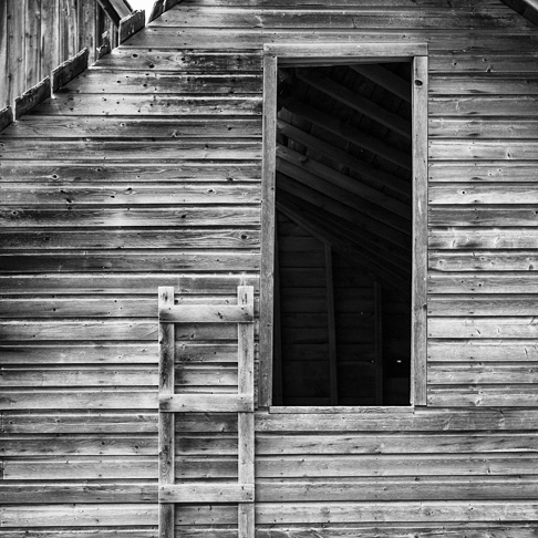 Jon Faulknor Photography | 10 Beaver Point Rd, Coboconk, ON K0M 1K0, Canada | Phone: (705) 886-2517