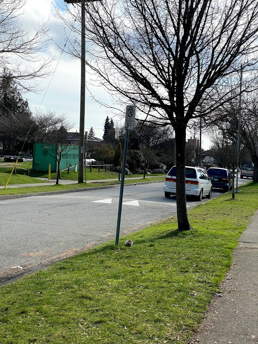 Gordon Park | 6675 Commercial St, Vancouver, BC V5P 3P5, Canada | Phone: (604) 873-7000