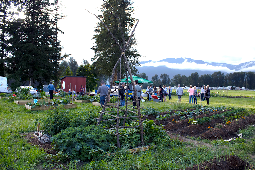 Community Roots Garden | 44825 Wolfe Rd, Chilliwack, BC V2P 8A8, Canada | Phone: (604) 701-4944