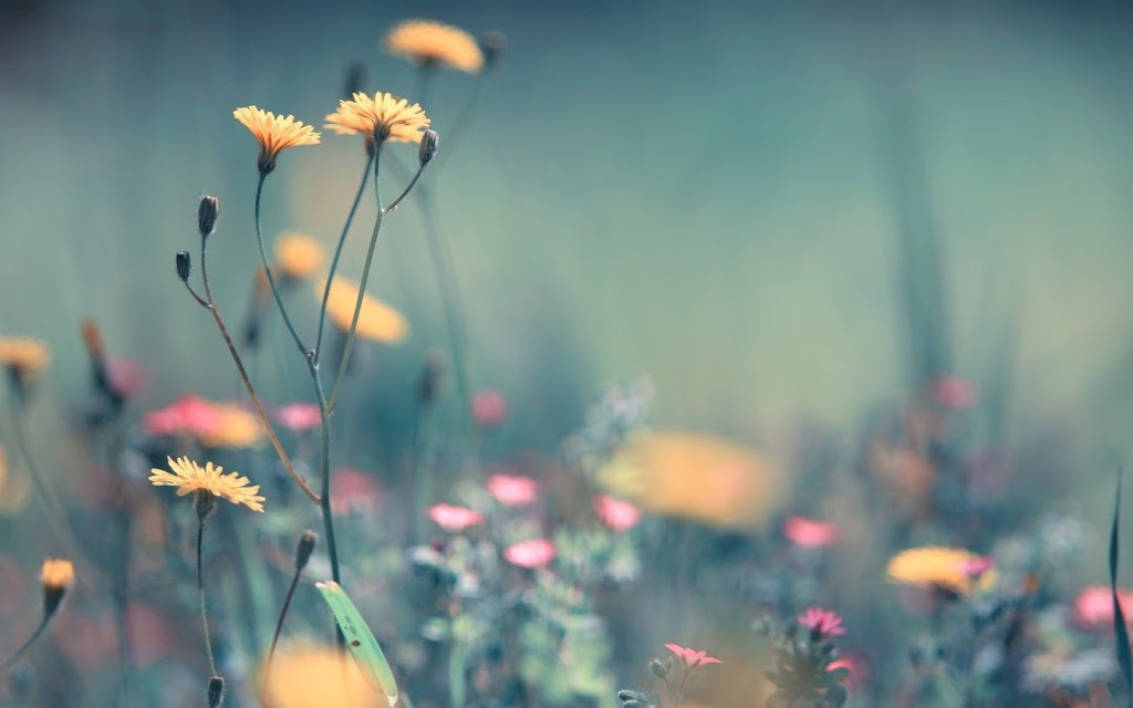 "Evolution Therapies Counselling" by Valeria Smith | 73 Willamere Dr, Scarborough, ON M1M 1W5, Canada | Phone: (416) 618-0770