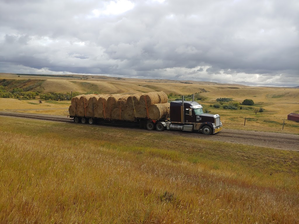P & BW TRUCKING Ltd. | 45 Centre St, Iron Springs, AB T0K 1G0, Canada | Phone: (403) 894-3834