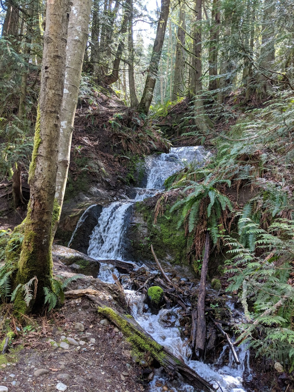 North Chuckanut Mountain Trailhead | 1467 Chuckanut Dr, Bellingham, WA 98229, USA | Phone: (360) 778-5850
