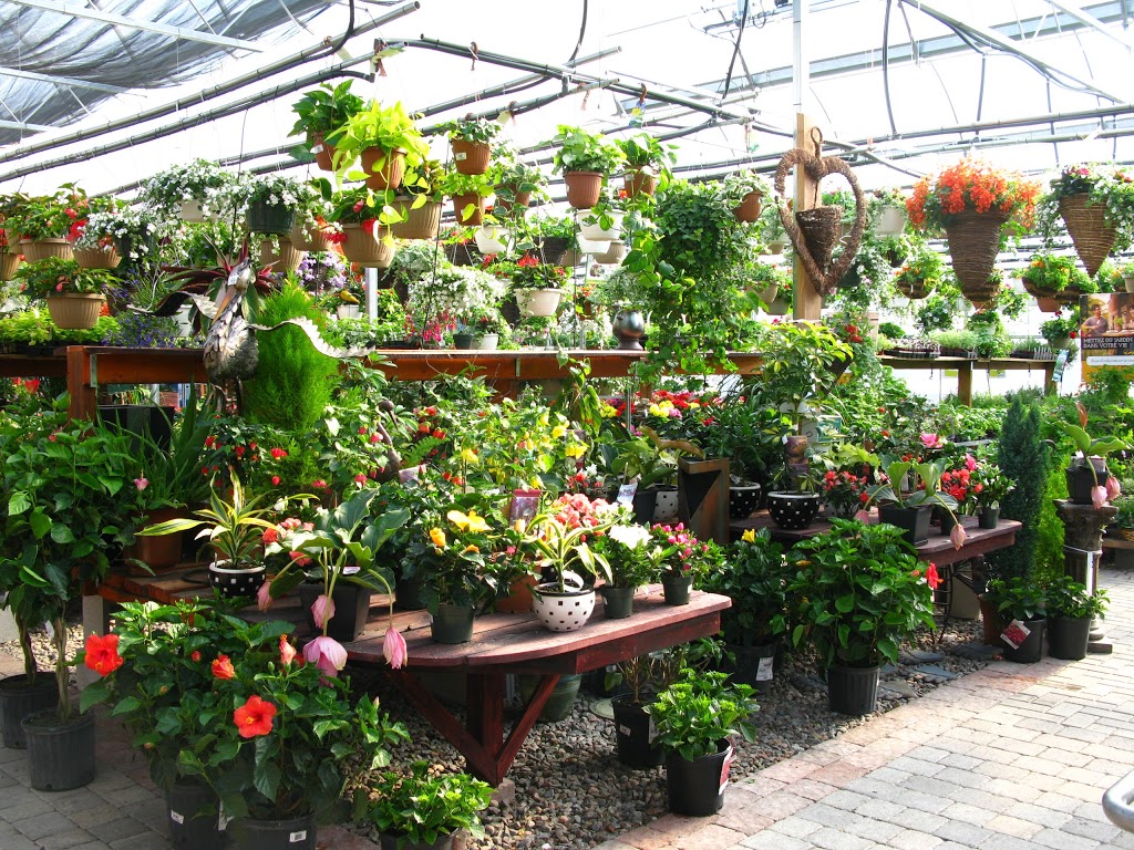 Botanix Levert Paysage | 1517 Route117, Saint-Faustin-Lac-Carré, QC J0T 1J2, Canada | Phone: (819) 688-2067