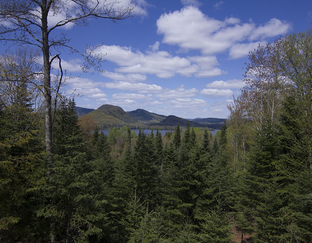 RCNT Chalets | 1247 Rue Saint Faustin, Saint Fautin Lac Carré, QC J0T 1J3, Canada | Phone: (450) 327-6130