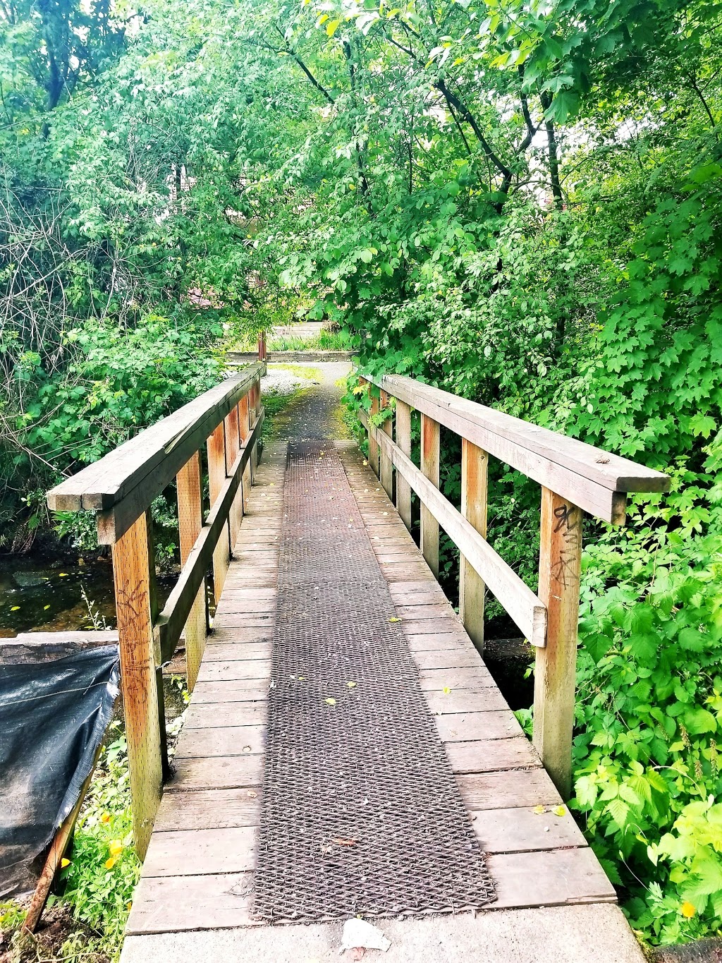 Hoy Creek Bridge | 1205 Johnson St, Coquitlam, BC V3B 7G4, Canada