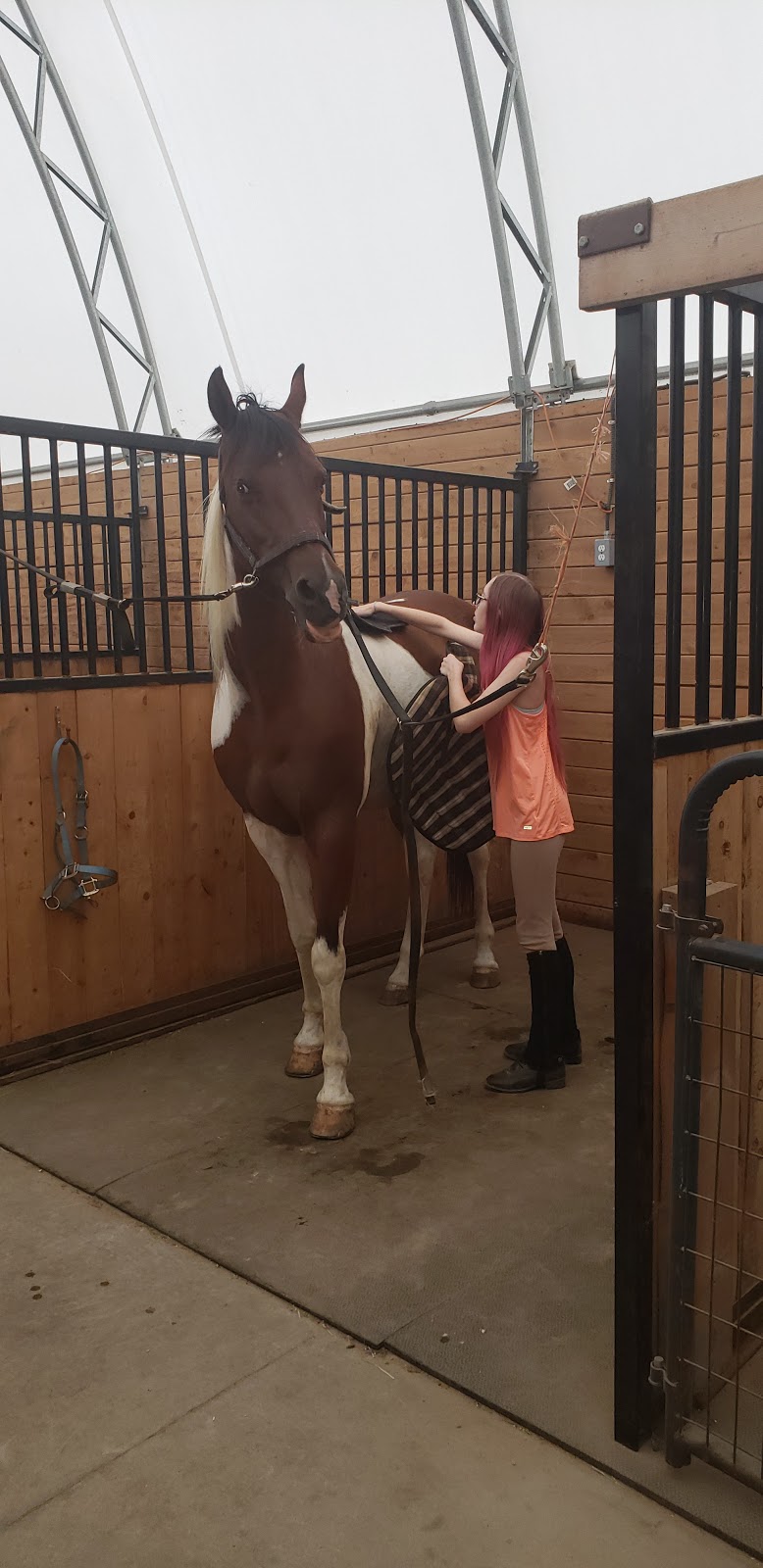 Carousel Canada Equine Riding Centre | 17133 Telephone Rd, Trenton, ON K8V 5P4, Canada | Phone: (613) 827-0058