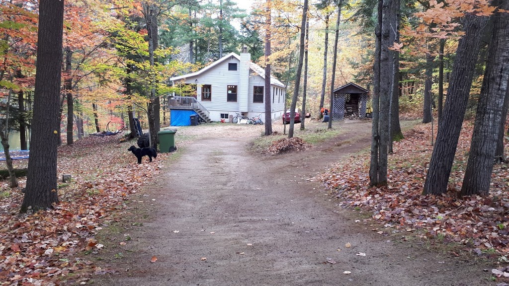 Salon lEnvolée - Andrée Dancause - Massothérapie - Orthothérapie | 59 Montée Léonard, Lac-du-Cerf, QC J0W 1S1, Canada | Phone: (819) 430-6763