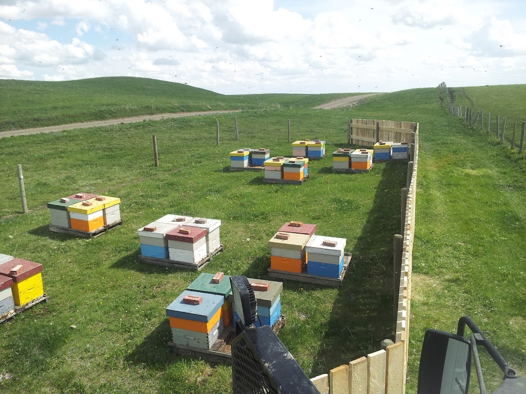 Thrive Honey Inc | 94056 AB-845, Coaldale, AB T1M 0A1, Canada | Phone: (403) 738-4395