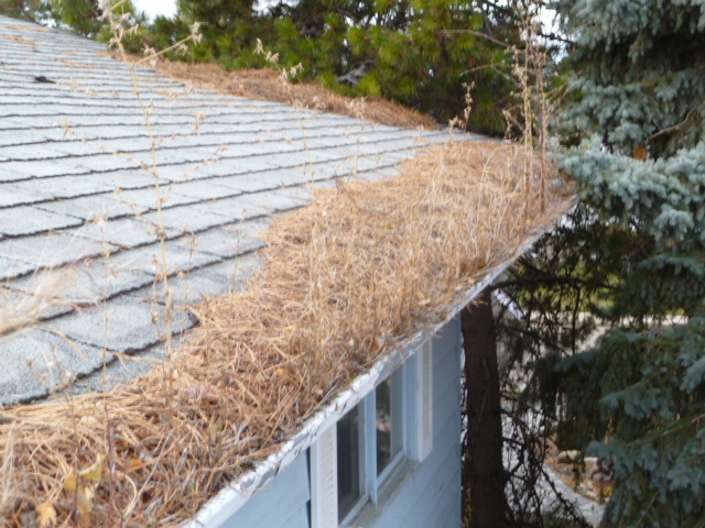 Archer Residential Services Ltd. | Box 62063, R.P.O, Edmonton, AB T5M 4B5, Canada | Phone: (780) 991-4094