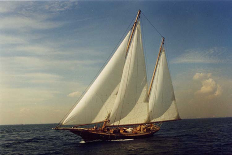 Lee Sails | 1721 Cowichan Bay Rd, Cowichan Bay, BC V0R 1N0, Canada | Phone: (778) 422-3332