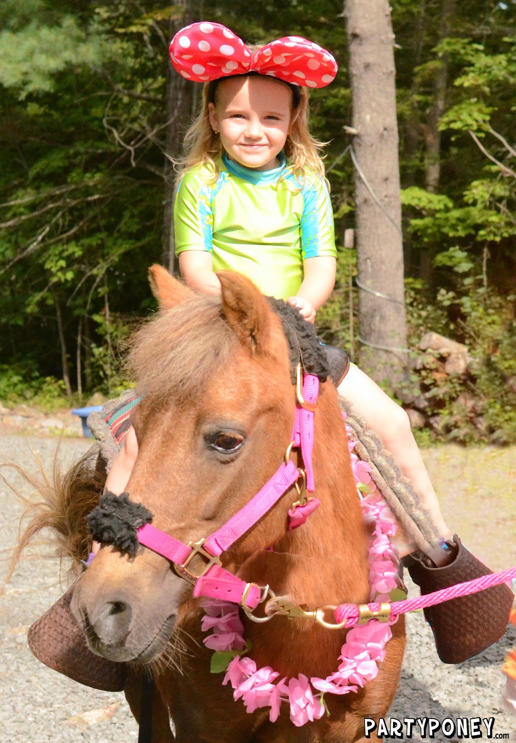Party Poney | 7 1e Rang, Roxton Pond, QC J0E 1Z0, Canada | Phone: (450) 531-3127