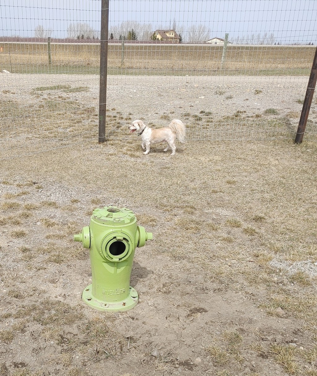 Pawsitively Wild N Free | W648+Q4, Indus, AB T1X 0H7, Canada | Phone: (403) 701-6323