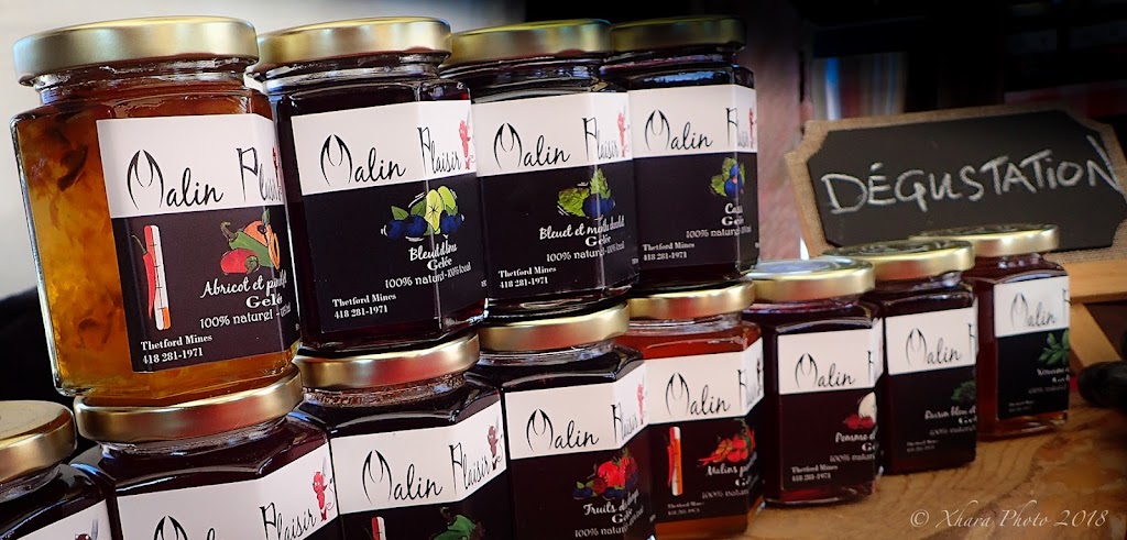 Malin Plaisir | 16 Rue Caouette E, Thetford Mines, QC G6G 1J4, Canada | Phone: (418) 281-1971