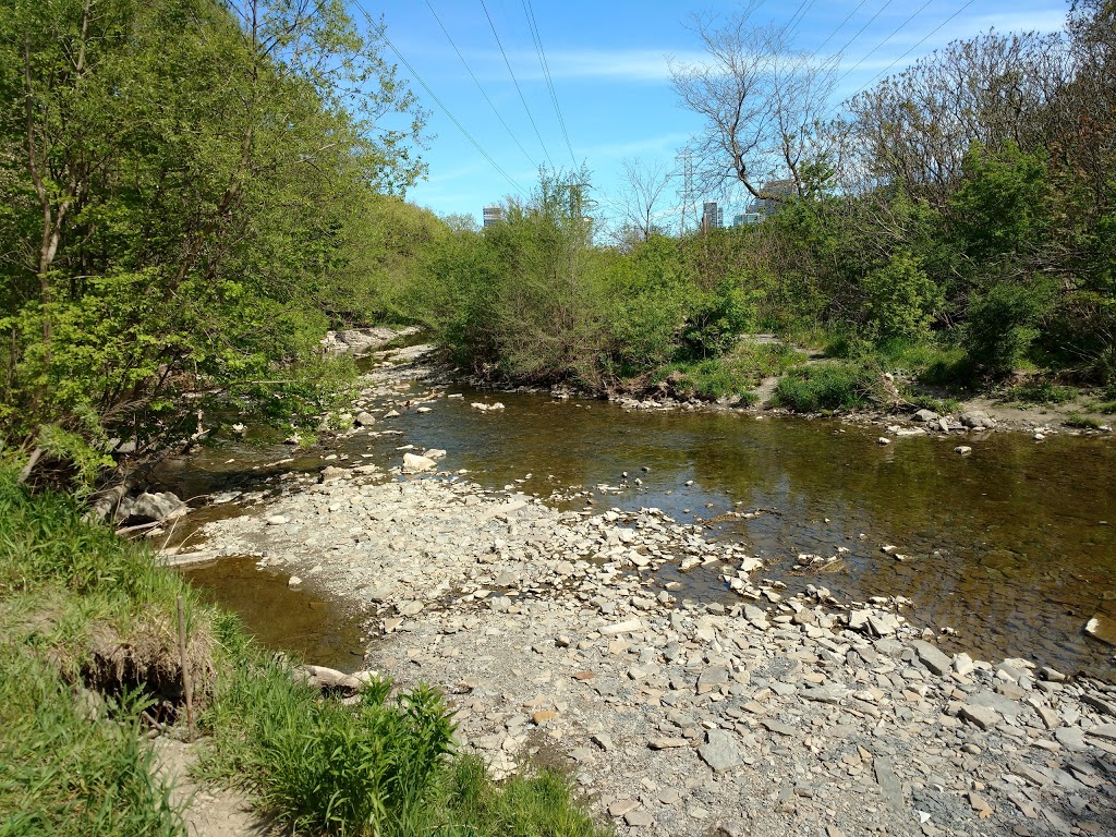 Jeff Healey Park | 1 Delroy Dr, Etobicoke, ON M8Y 1M7, Canada | Phone: (416) 392-8188
