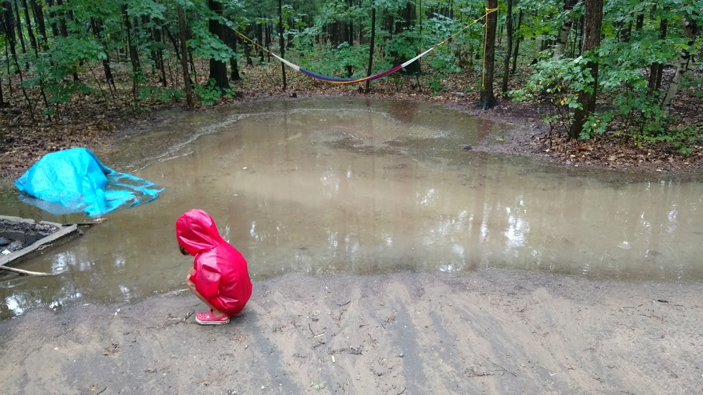 Turtle Campground | Tiny, ON L9M 1R2, Canada | Phone: (705) 549-2231