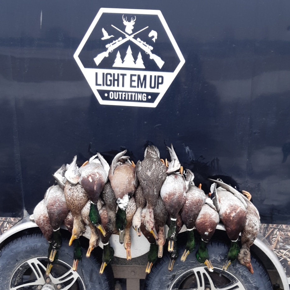 Erie Tracker | 111 Killaly St W, Port Colborne, ON L3K 3L7, Canada | Phone: (905) 834-9218