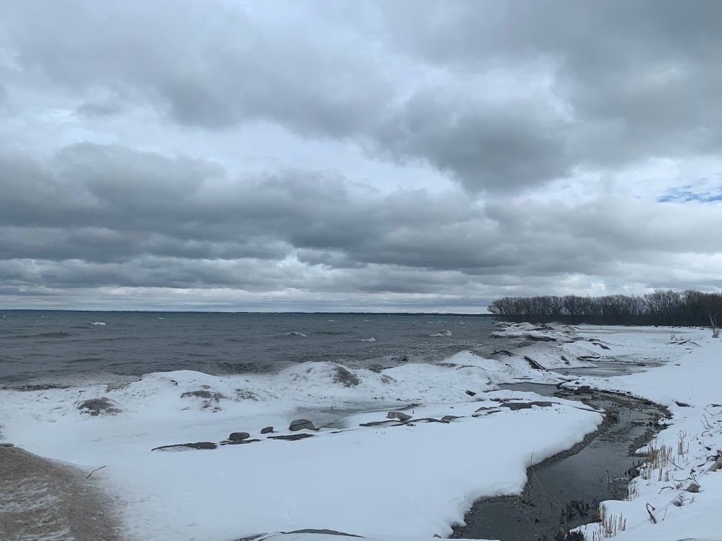 Blue Water | 9102 Beachwood Rd, Wasaga Beach, ON L9Z 2Y5, Canada | Phone: (888) 422-0448