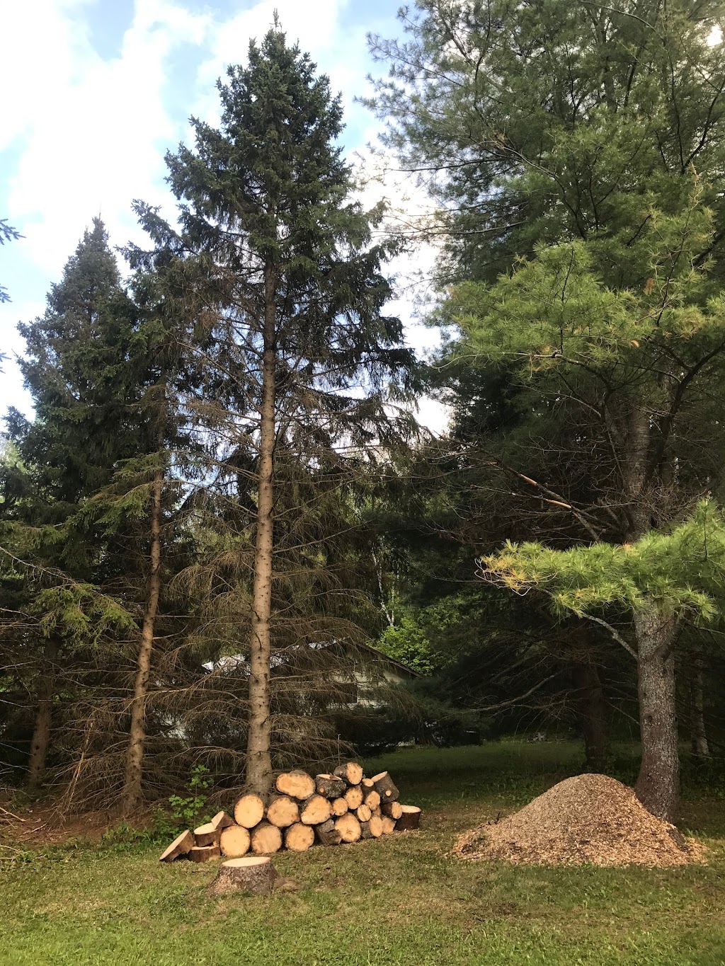 Tree North Inc. | 11 The Granite Bluff, Bracebridge, ON P1L 1L4, Canada | Phone: (705) 221-6860