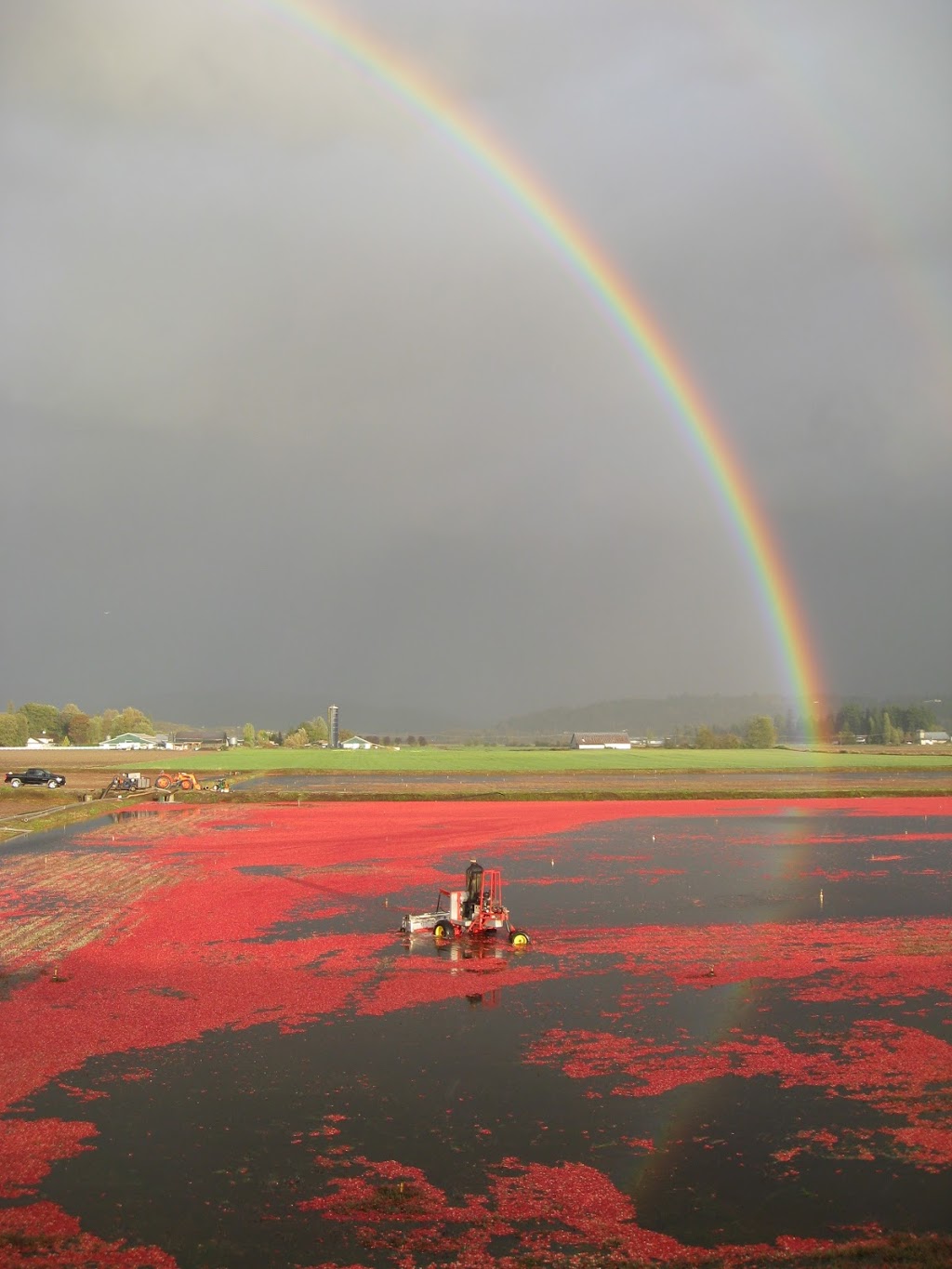 THE BOG Riverside Cranberry Farm | 26885 88 Ave, Langley City, BC V1M 3L8, Canada | Phone: (604) 614-7625