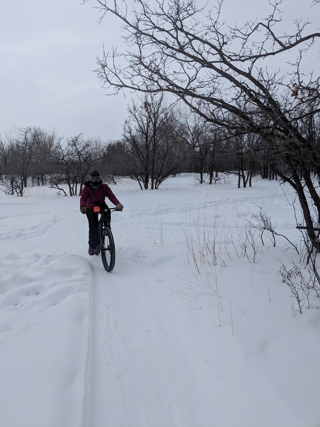 Bur Oak Self-Guiding Trail | Bur Oak Self-Guiding Trail, Springfield, MB R0E 1J0, Canada