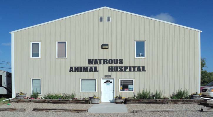 Watrous Animal Hospital | 707 4th Ave E, Watrous, SK S0K 4T0, Canada | Phone: (306) 946-3657