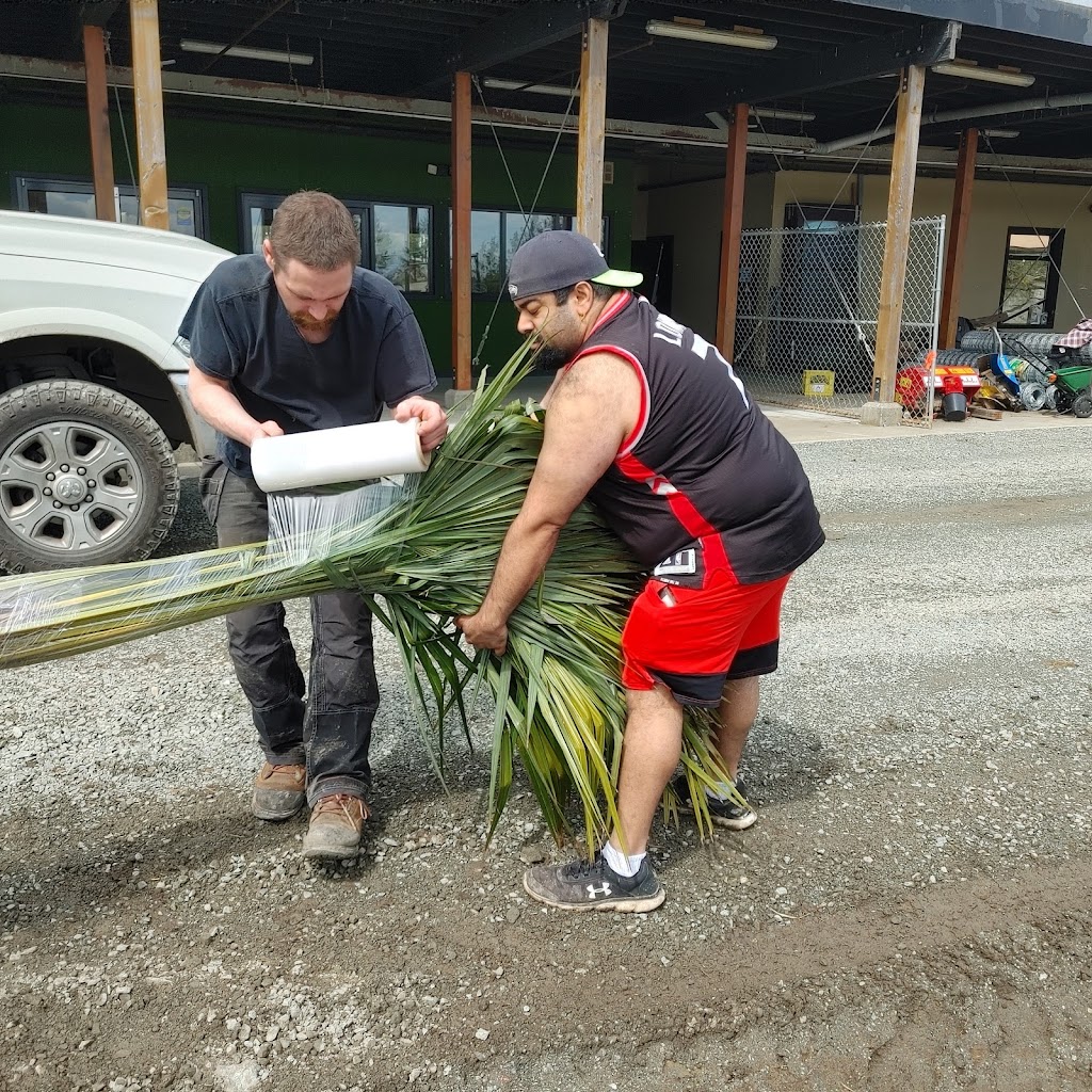 Cool Plants | 7081 Central Saanich Rd, Saanichton, BC V8M 1Y3, Canada | Phone: (250) 727-8444