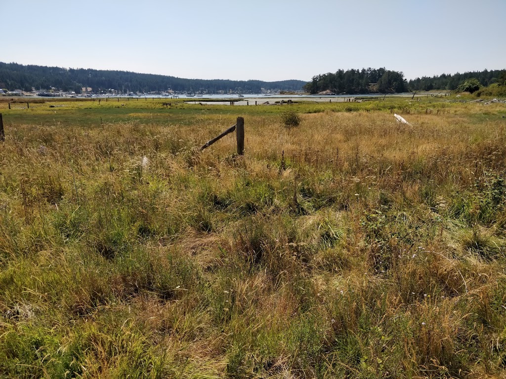 Weeks Wetland Preserve | 35-43 Weeks Point Way, Lopez Island, WA 98261, USA