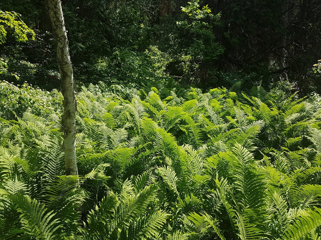 Limehouse Conservation Area | 12169 5th Line, Limehouse, ON L0P 1H0, Canada | Phone: (905) 670-1615