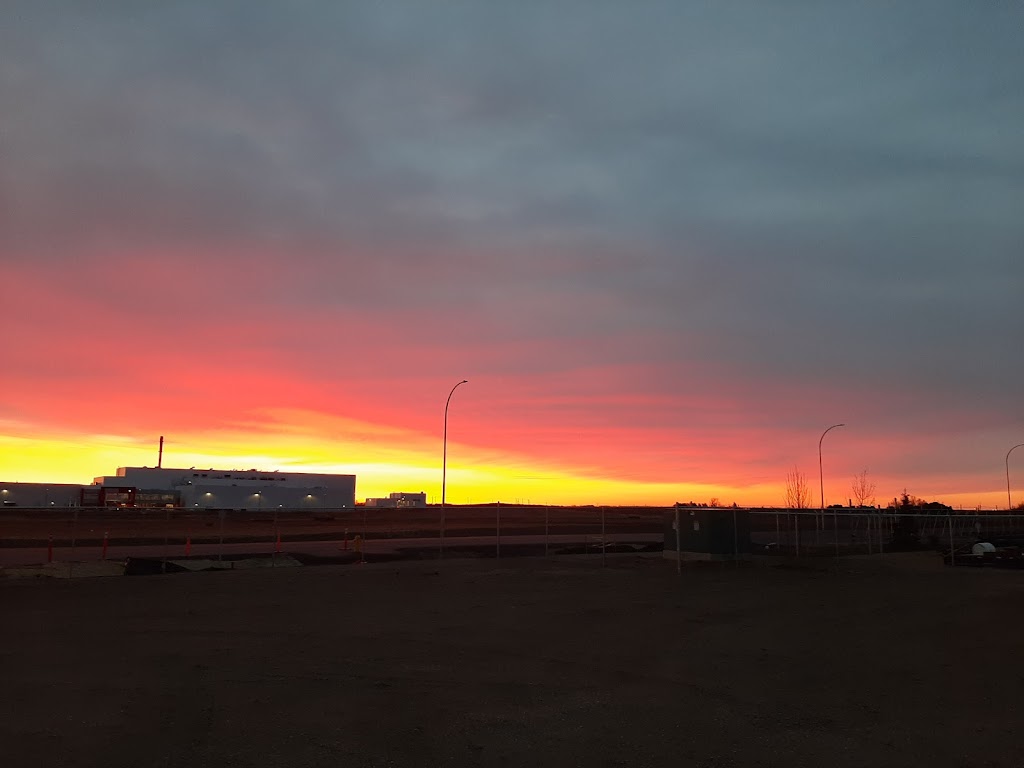 Bushell Transport Co. Ltd | 8892 270 St, Acheson, AB T7X 2V9, Canada | Phone: (780) 459-1320