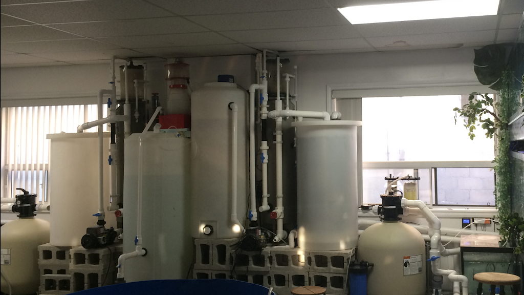 Canadian Marine Aquaculture | 945 Weston Rd, York, ON M6N 3R4, Canada | Phone: (647) 705-3523