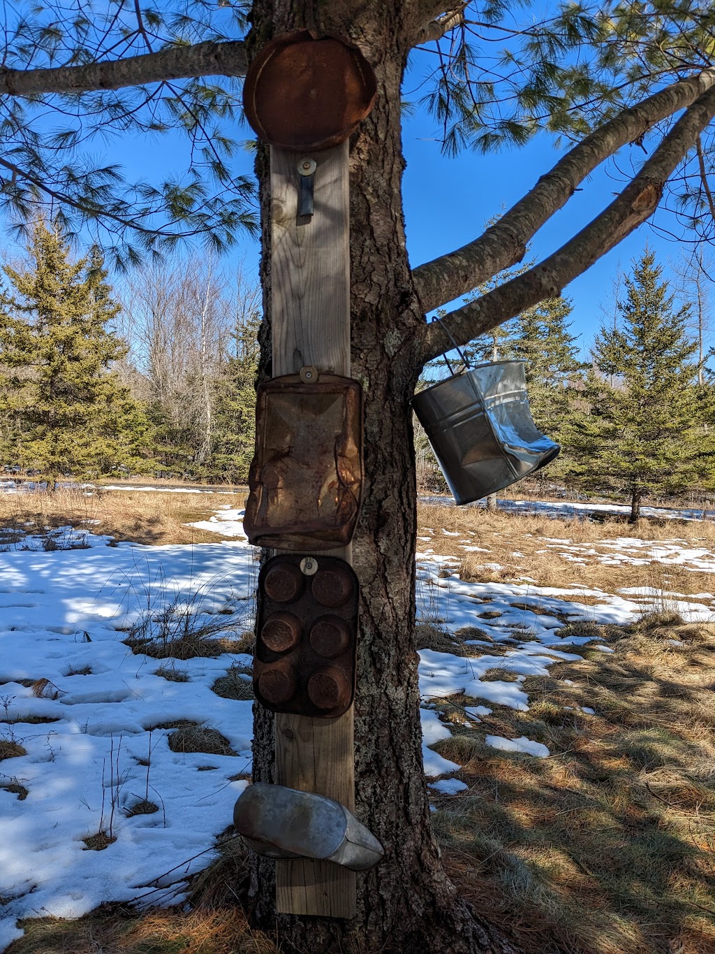 Nature Learning and Play Space | 12014 NS-224, Middle Musquodoboit, NS B0N 1X0, Canada | Phone: (902) 384-3420