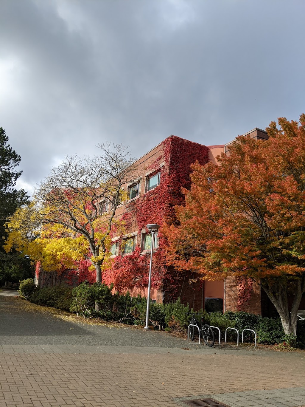 David Strong Building | 3800 Finnerty Rd, Victoria, BC V8P 5C2, Canada | Phone: (250) 721-7211