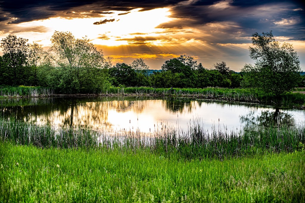 MORITO PHOTOGRAPHY | 154 Port Robinson Rd unit 11, Fonthill, ON L0S 1E6, Canada | Phone: (905) 536-6307