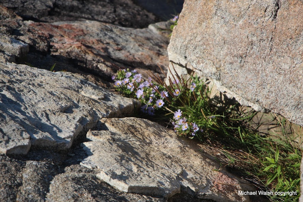 St. Johns Anglican | 8 Church Rd, Peggys Cove, NS B3Z 3R7, Canada | Phone: (902) 823-1085