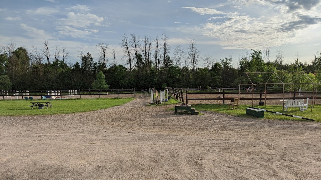 Fiddlers Green Stables | 6575 Flewellyn Rd, Stittsville, ON K2S 1B6, Canada | Phone: (613) 831-2844