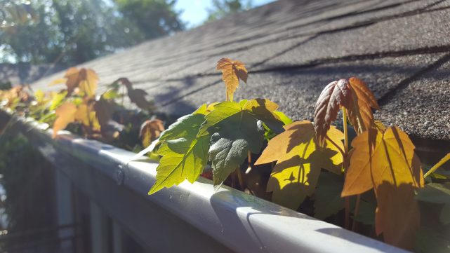 Gutters Inc. Laprairie. | 1919 Route Édouard VII, Saint-Philippe, QC J0L 2K0, Canada | Phone: (450) 444-1423