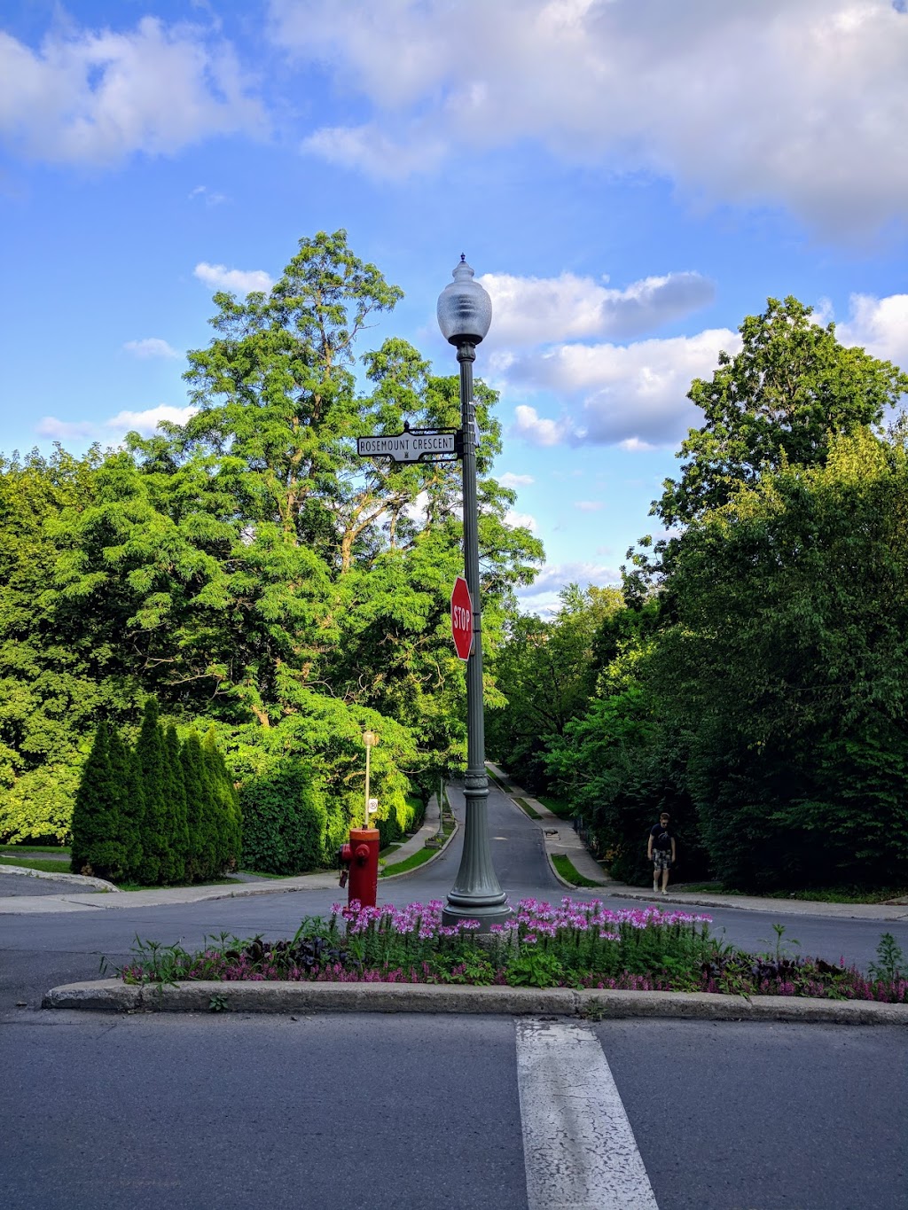 Perma Culture Garden | 60 Av. Rosemount, Westmount, QC H3Y 3G7, Canada | Phone: (514) 269-2758