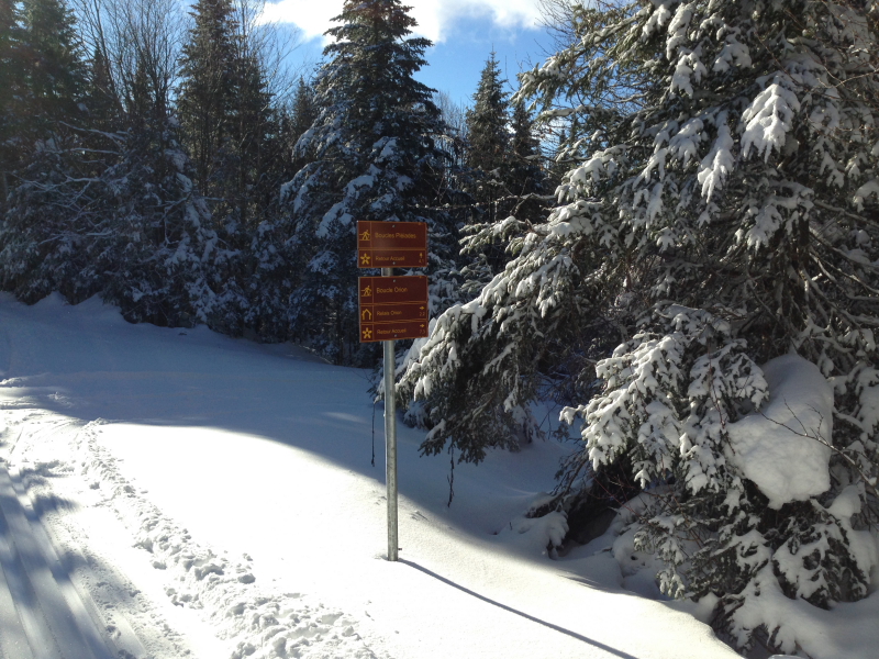 Gîte touristique Les trois étangs | 12 Chemin du Petit Québec, La Patrie, QC J0B 1Y0, Canada | Phone: (819) 888-0210