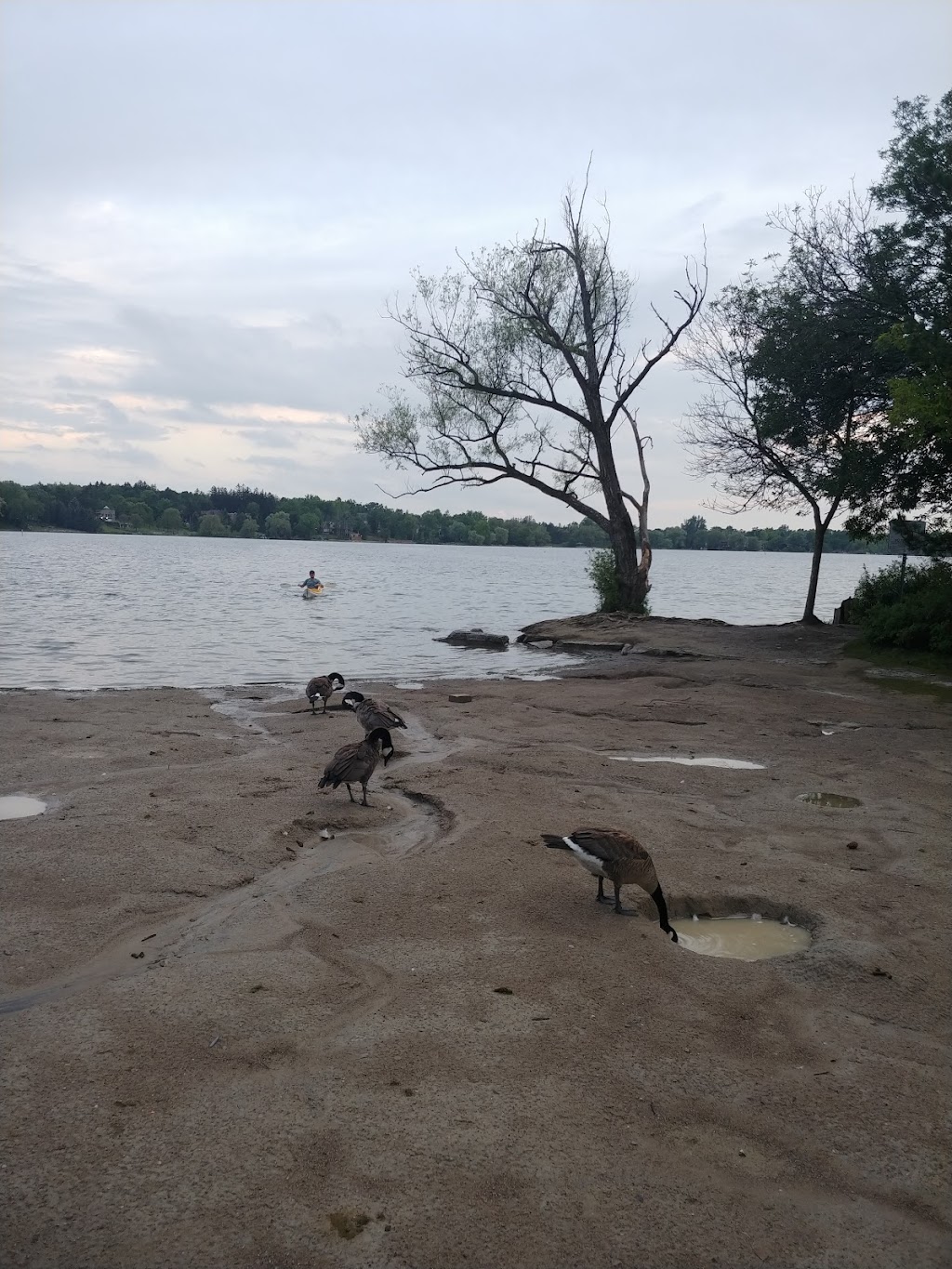 Richmond Hill Canoe Club | 70 Olde Bayview Ave, Richmond Hill, ON L4E 3C8, Canada | Phone: (289) 317-0435