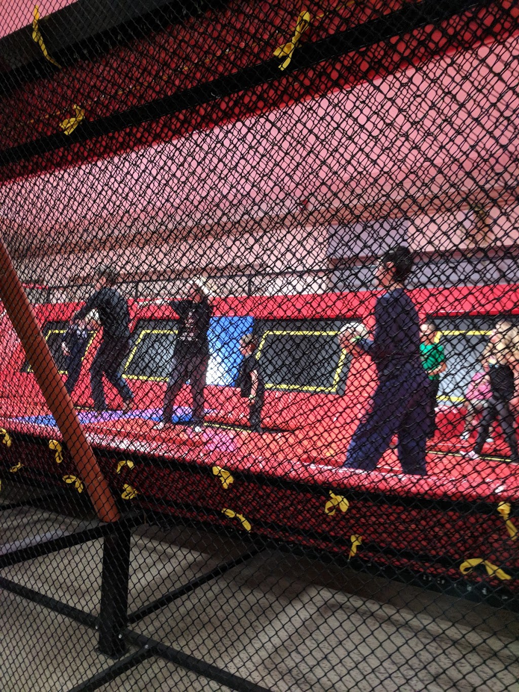 Jungle Hut Entertainment | 2289 Barton St E unit 8, Hamilton, ON L8E 2W8, Canada | Phone: (905) 573-5000