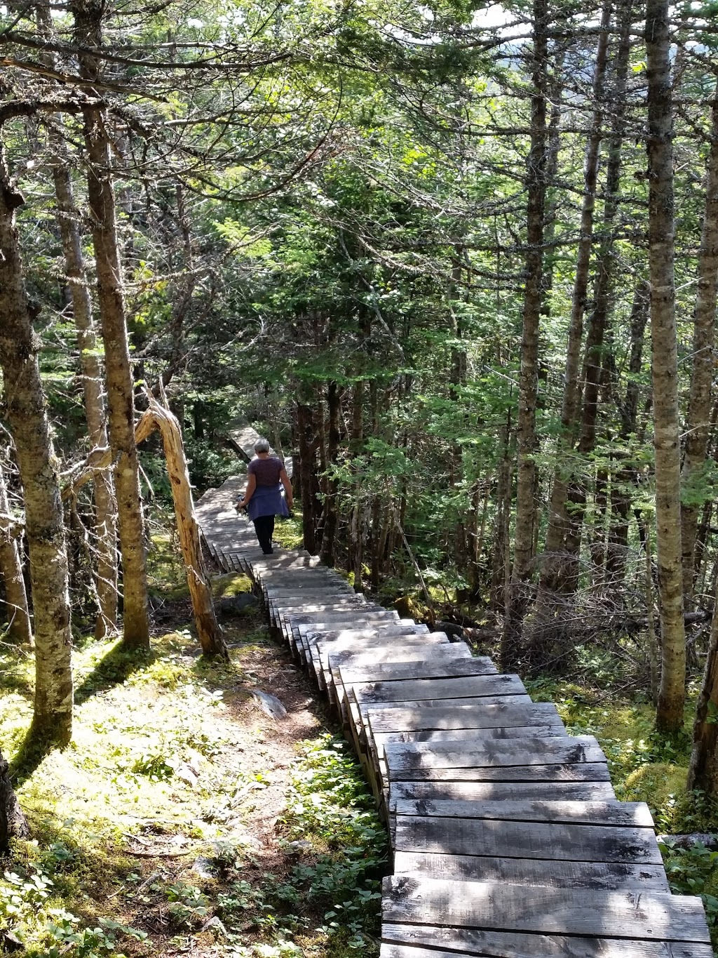 Butter Pot Provincial Park | Trans-Canada Hwy, Holyrood, NL A0A 2R0, Canada | Phone: (709) 685-1853