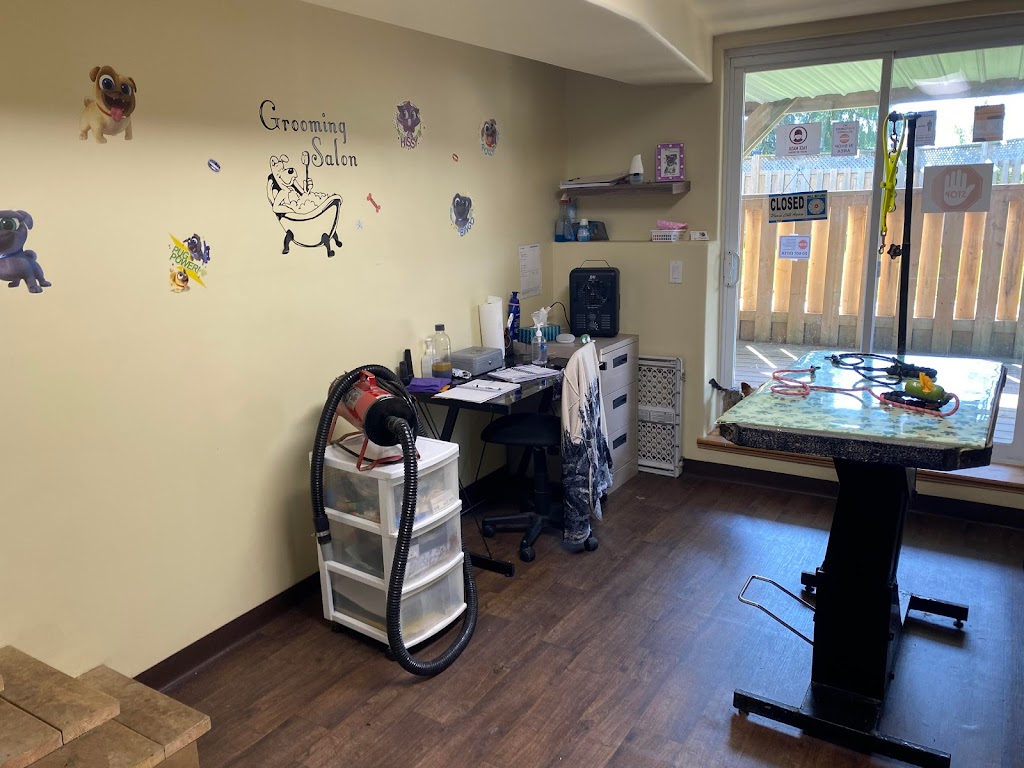 Paws Fur Effects Pet Grooming | 740 Tanner Dr, Kingston, ON K7M 9G7, Canada | Phone: (613) 885-9470