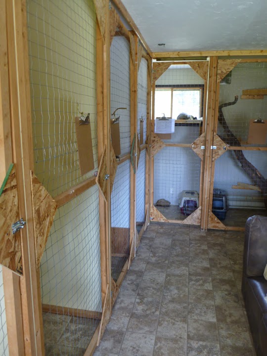 Happytails Pet Retreat | Cochrane, AB T4C 1A7, Canada | Phone: (403) 851-2050