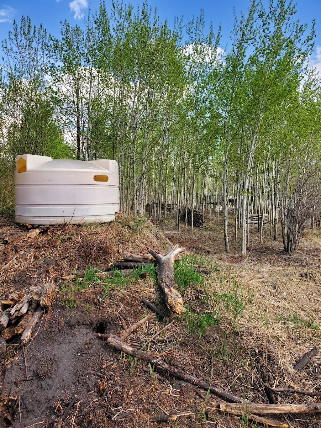 Oddball Paintball | Unnamed Road, 2X0, Middle Lake, SK S0K 2X0, Canada | Phone: (306) 231-4918