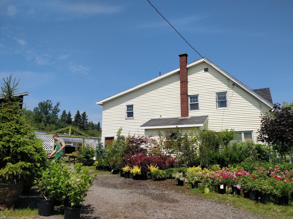 West River Greenhouses | 509, NS-376, Central West River, NS B0K 1H0, Canada | Phone: (902) 925-2088