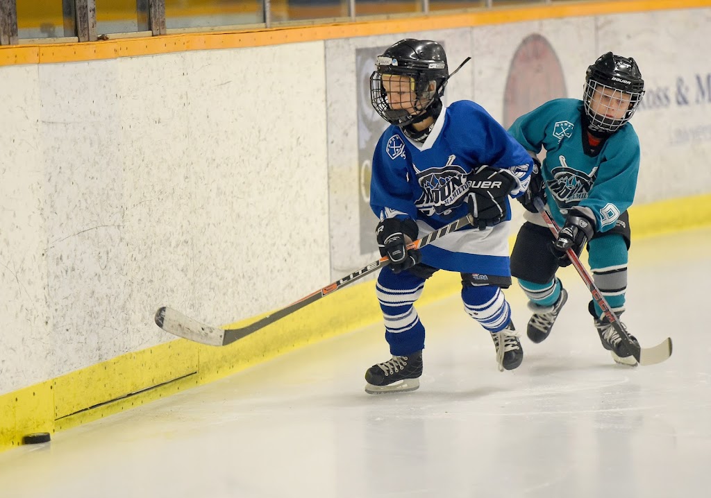 Dave Andreychuk Mountain Arena & Skating Centre | 25 Hester St, Hamilton, ON L9A 2N3, Canada | Phone: (905) 546-3747