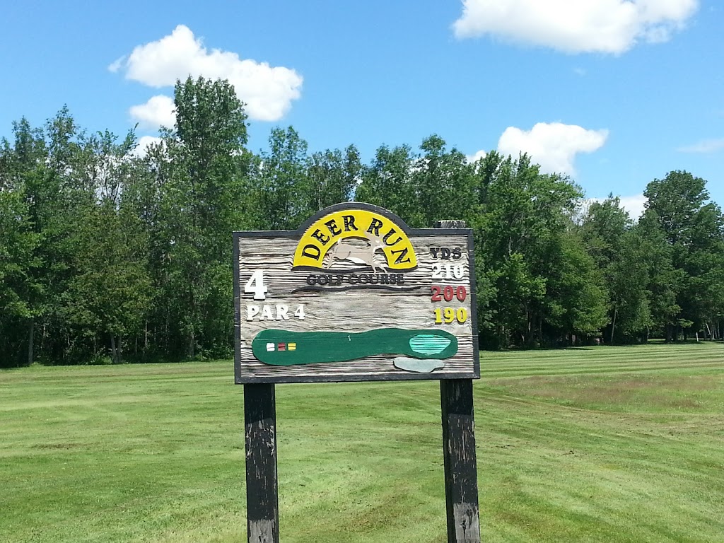 Deer Run Golf Course and Bar & Grill | 10 Brook St, Little Britain, ON K0M 2C0, Canada | Phone: (705) 328-3781