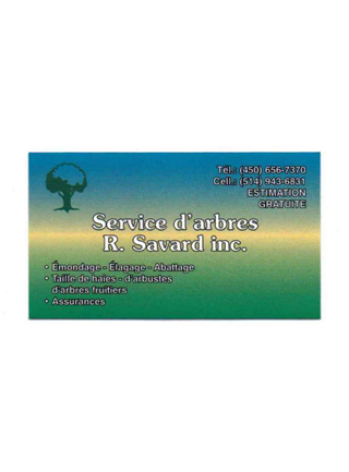 Service DArbres R Savard Inc | 9095 Chemin de Chambly, Saint-Hubert, QC J3Y 5K2, Canada | Phone: (450) 656-7370